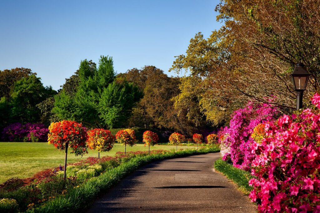 landscaping cpnursery.in